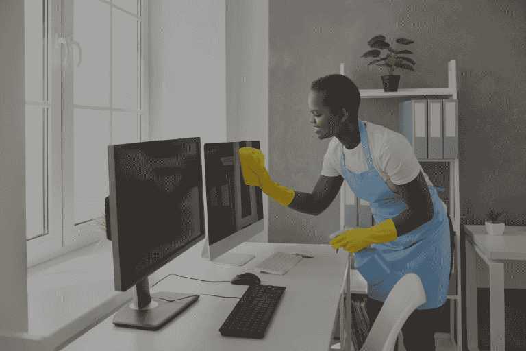 Professional cleaning services